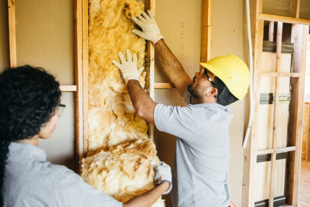 Best Blown-In Insulation  in North Hobbs, NM